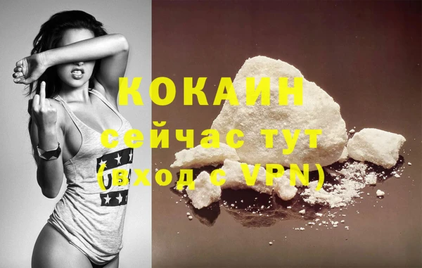 винт Нея