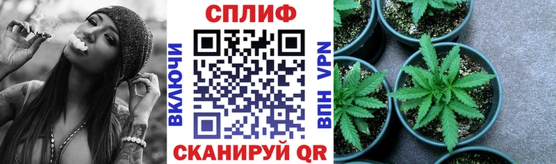 как найти закладки  Козельск  Канабис SATIVA & INDICA 
